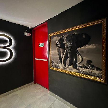 Hotel Zelva Negra Medellín Exteriér fotografie