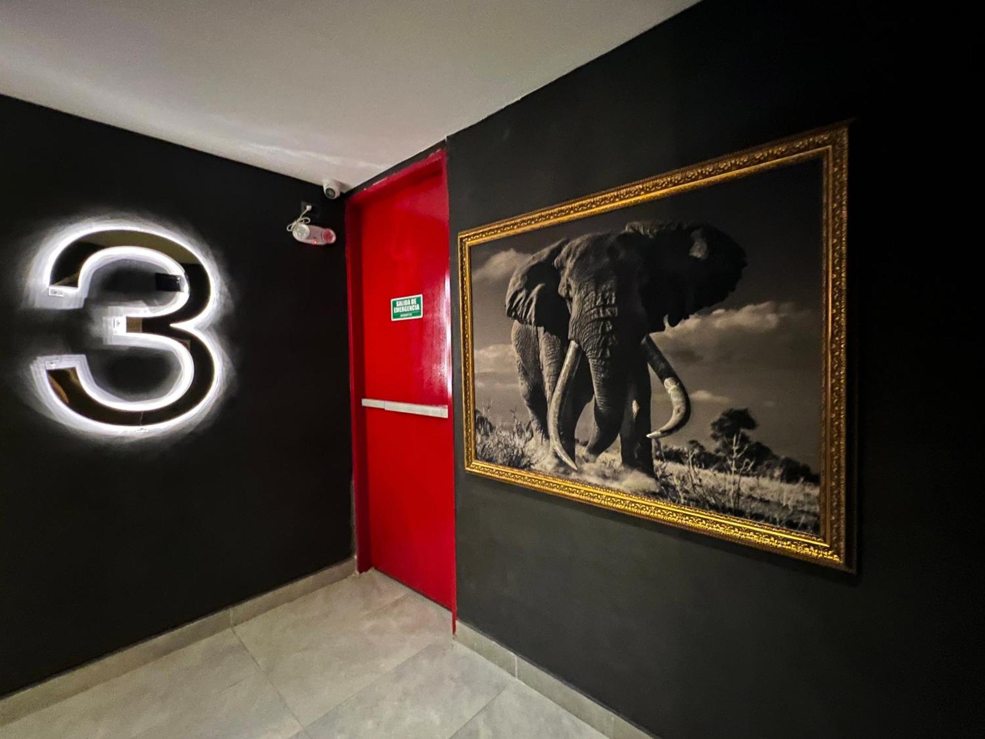 Hotel Zelva Negra Medellín Exteriér fotografie